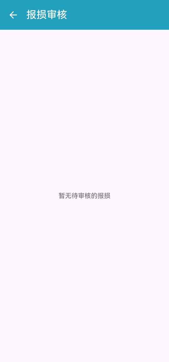 报损审核